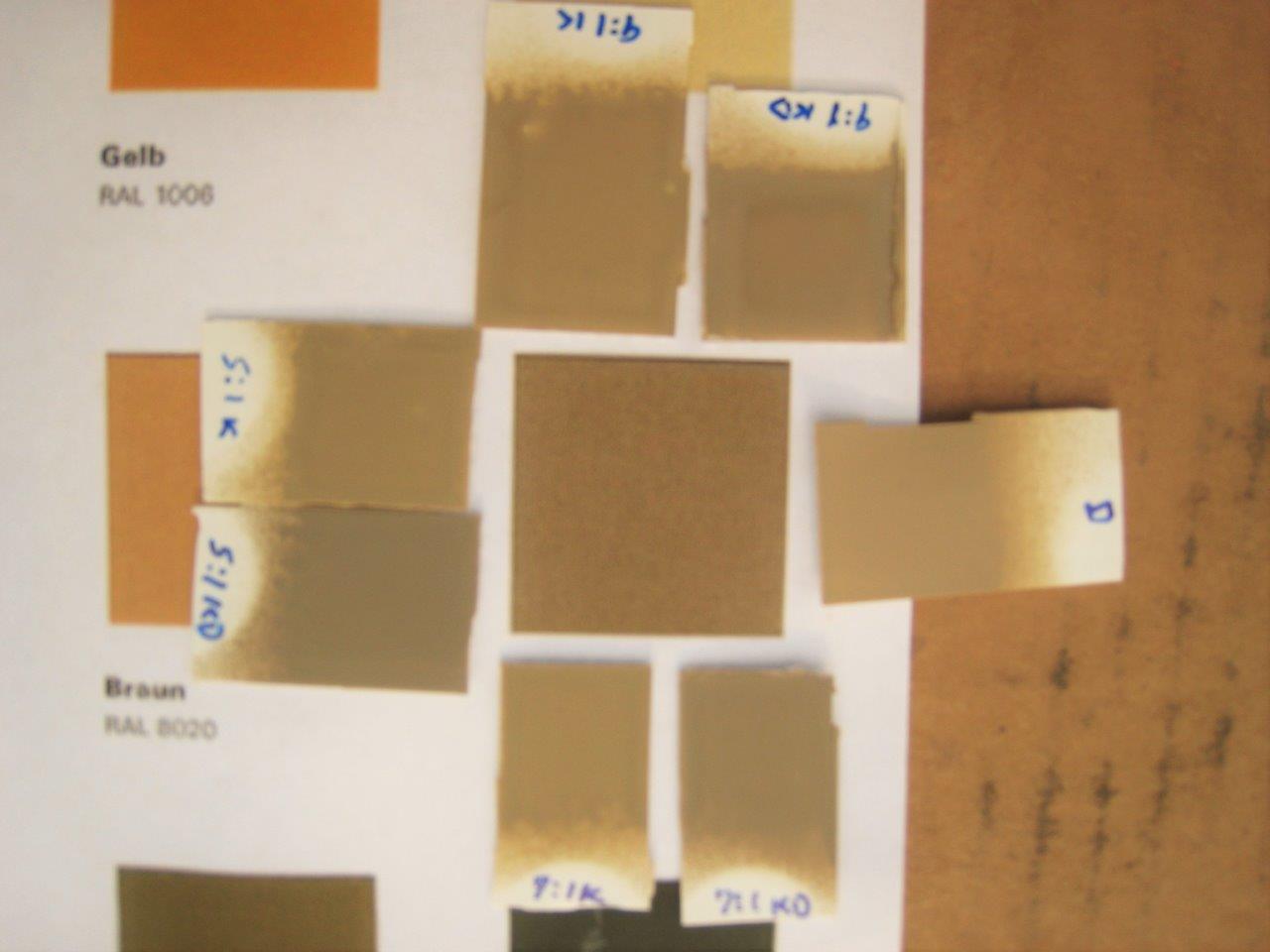 IMG_0004 (3) (temp change).jpg