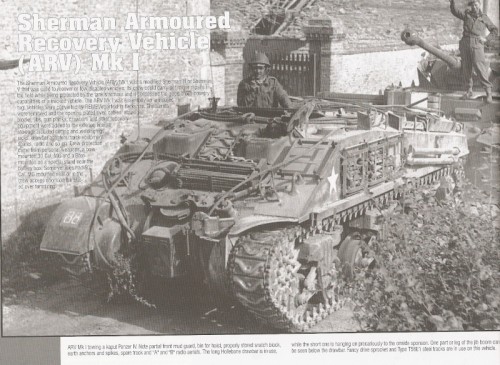 numari10.jpg