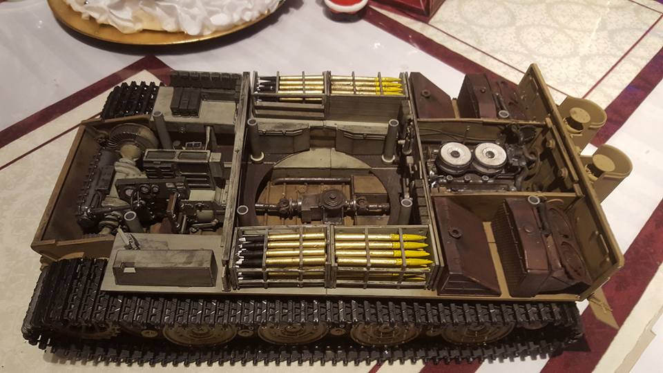 TIGER INSIDES.jpg