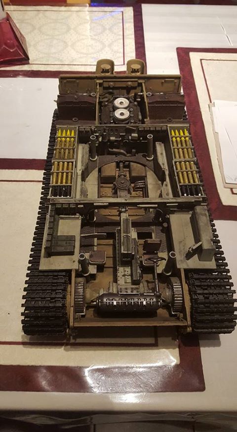 TIGER INSIDE 2.jpg