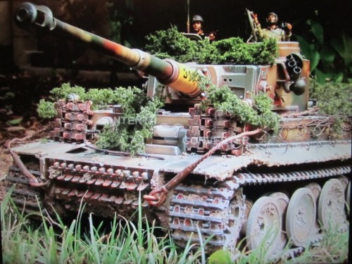 T1 Resized.jpg