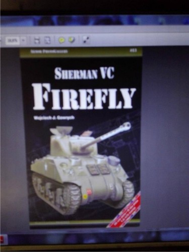 Firefly book.jpg