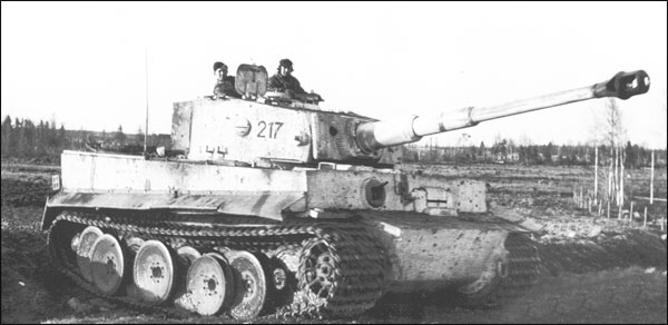 otto tiger.jpg