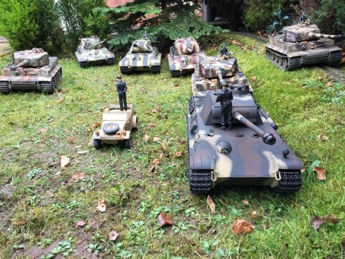 ambush c.jpg