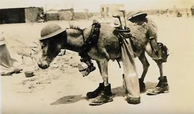 ww2 secret weapon.jpg
