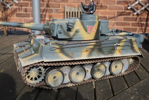tiger view 2.jpg