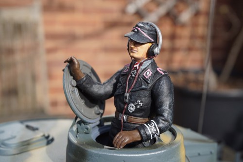 tiger driver.jpg