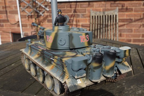 tiger view 3.jpg