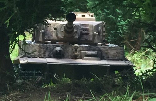Tiger1.jpg