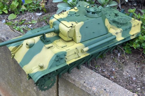 Panther Camo (5).jpg