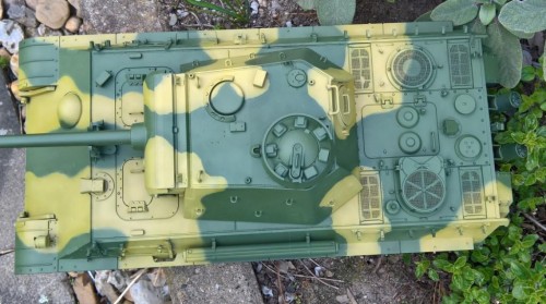 Panther Camo (1).jpg