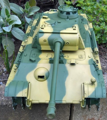 Panther Camo (4).jpg