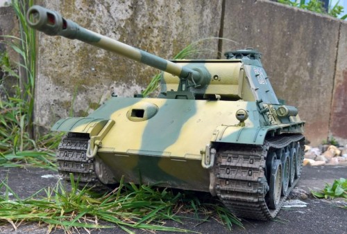 Panther Intermed front.jpg