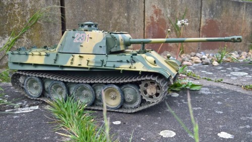 Panther Intermed.rightjpg.jpg