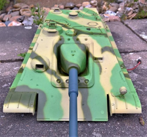 JP green in green.jpg