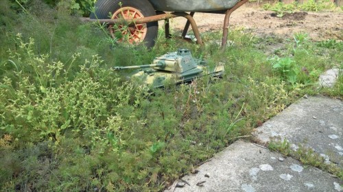 Panther in the field.jpg