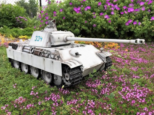 HL Panther G Late