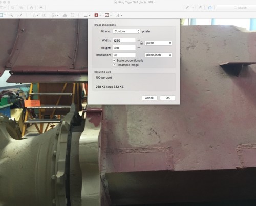 KT pixel count.jpeg (276.18 KiB) Viewed 1365 times Swiss King Tiger 341..pixel compression