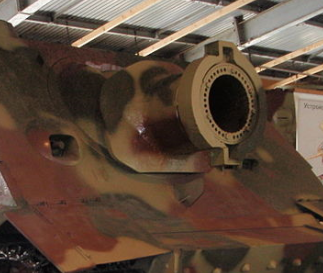 Kukinka Sturmtiger