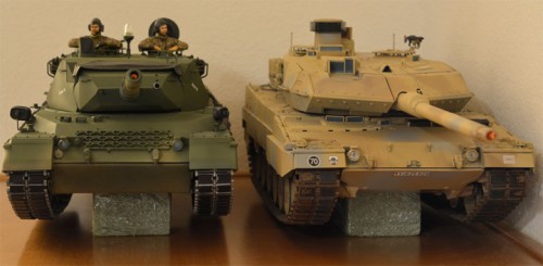 My pair of Leopards.