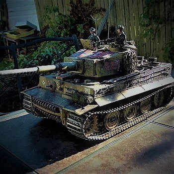 My Tiger.....