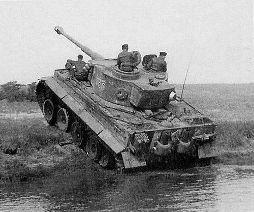 Tiger 1 after its ablutions in the river...