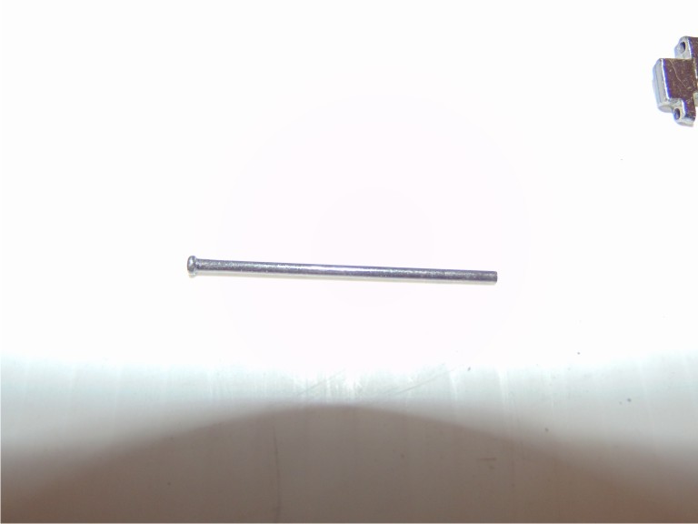 Panther tracks 4.JPG