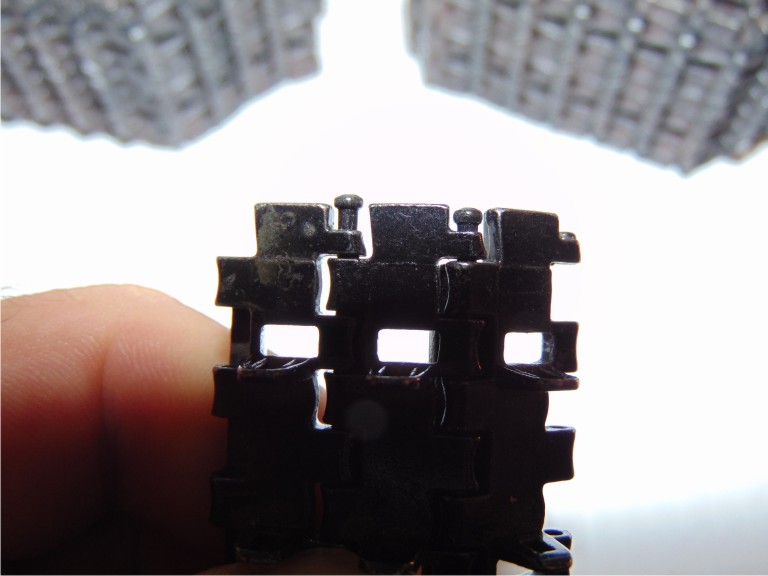 Panther tracks 5.JPG