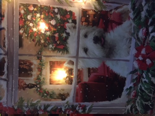 Merry Westie