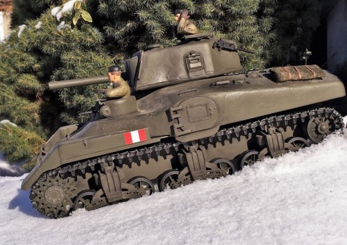 1/16 Ram II early version tank