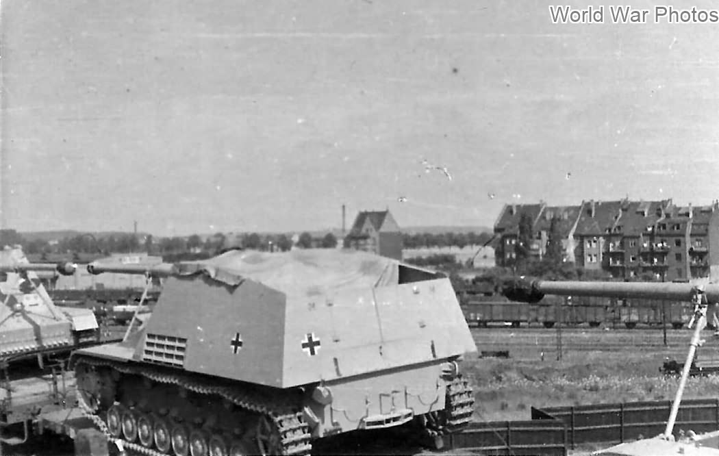 Nashorn_transport.jpg