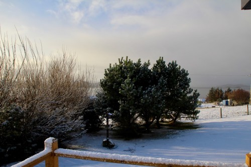 Highland Tank Park in Winter..