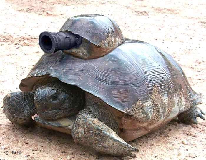 Sturmgeschutz Turretless Turtle