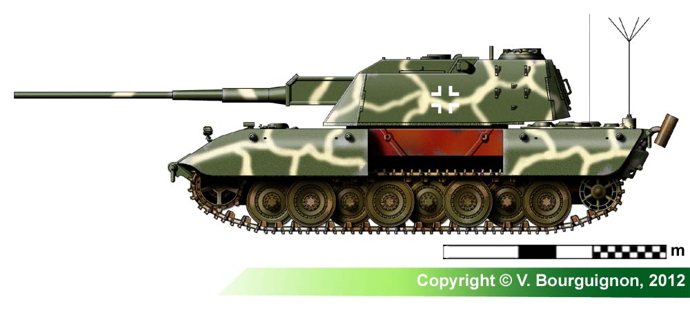 p2.jpg