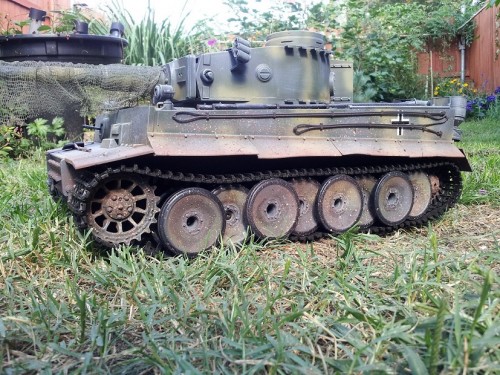 smalltiger.jpg