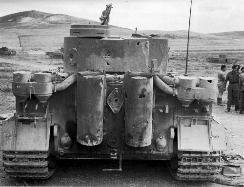 Tiger 131 Capture (12).jpg