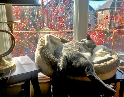 Capture23.JPG (183.94 KiB) Viewed 5803 times RC 1/16 V-150 V150 Cadillac Gage Commando with 90mm Cockerill gun turret