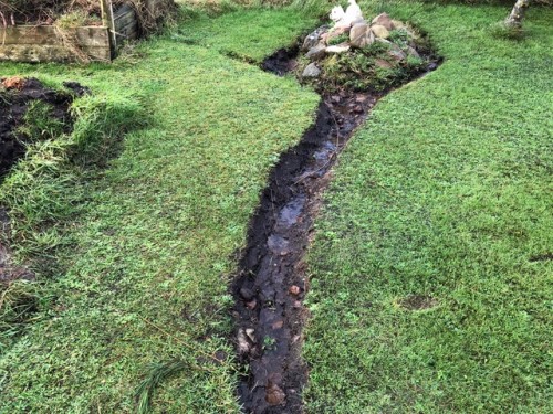 Rhine crossing.jpeg (209.12 KiB) Viewed 3932 times Rhine crossing...