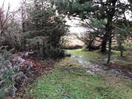 Ardennes.jpeg (190.07 KiB) Viewed 3920 times Ardennes campaign