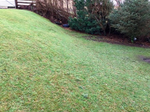 Hill 112-tank resting slope.jpeg (182.1 KiB) Viewed 3934 times Hill 112-tank testing slope