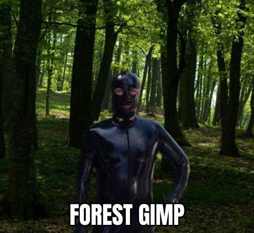 forest gimp.jpg