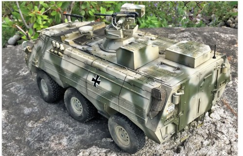 RC 1/16 TPz-1 A8 Fuchs 6x6 Transportpanzer with FLW 200 build