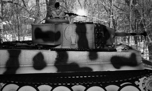 Winter Tiger I (B&W3 small).jpg