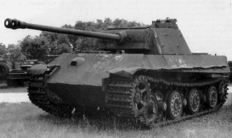 panther2_1.jpg