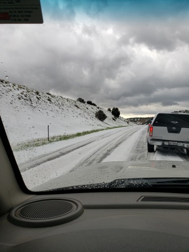 Spring in Colorado.jpg