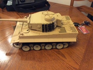 tiger 9.jpg