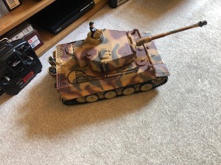 tiger 10.jpg