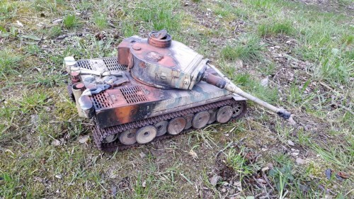 tiger 4.jpg