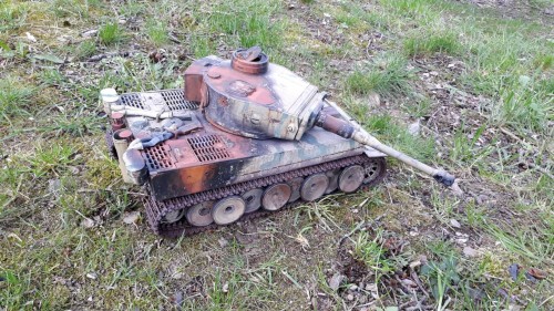 tiger 4.jpg