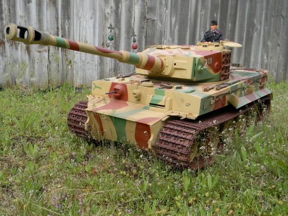 tiger grass.JPG